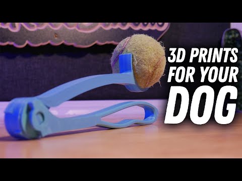 Cool 3D Prints For Pet Owners - Printed on the ELEGOO Centauri Carbon 3D Printer