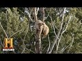 Survival Lessons in the Wild
