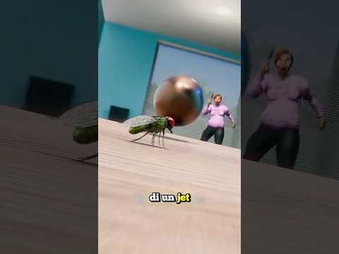 È POSSIBILE COLPIRE UNA MOSCA CON UN PROIETTILE? SPIEGATO (credits: @zackdfilms)