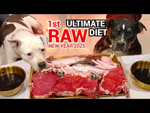 🐶🐶ULTIMATE RAW DOG DIET: NEW YEAR 2025 1st Happy Meal [ASMR] MUKBANG EP.02 of 2025 #ketodogfood