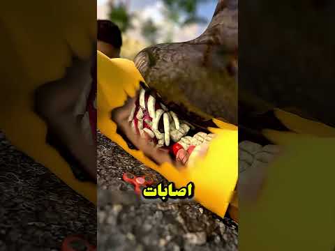 سيلفي مع الفيل والفيل داس عليا 😂🐘 #سيلفي #فيل #غرامة