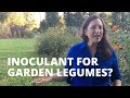 Understanding Inoculation and Nitrogen Fixation