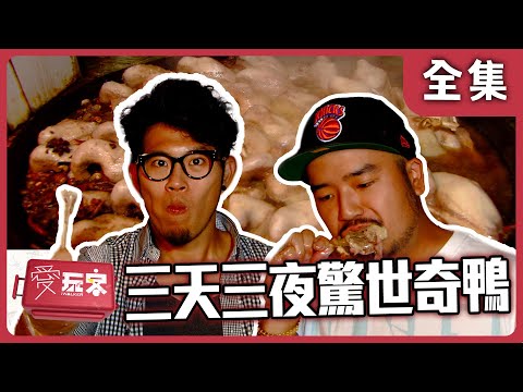【雲南 昆陽】西雙版納超有味 千里迢迢抓這美味【週一愛玩客】自由發揮 #7｜20111107