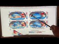 Ocean Salinity Trends and Effects
