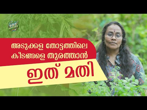 Natural Pest Control for Kitchen Garden 🐜🌱 | അടുക്കള തോട്ടത്തിലെ കീടങ്ങളെ തുരത്താൻ ഇതു മതി