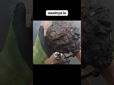 Nemu Barang Aneh Ditempat Bekas Perang Geng