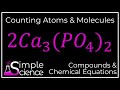 Counting Atoms and Molecules in Chemical Equations