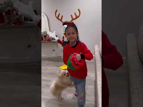 Les tocó cantar en el coro de la iglesia 🥰🎅+ GRWM + elf 🎄 #momlife