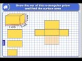 Understanding Nets and Surface Area