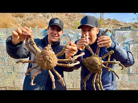 Ensenada, almejas chiludas y cangrejos marcianos