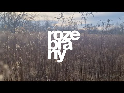 HYPNOHEADS x NeoN - ROZEBRANY (T. Różewicz)