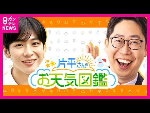 【あす(11/21・木)の天気】あすも　この時季らしい寒さ〈カンテレ・片平さんの天気予報／秦令欧奈アナウンサー〉〈カンテレNEWS〉