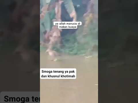 viral orang di makan buaya  #fypシ゚viral #mlbb  #viralremix #hamsterkombat #trending #trendingshorts