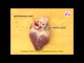 Heart Anatomy and Function Assessment