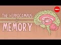 Understanding H.M. and Memory Research