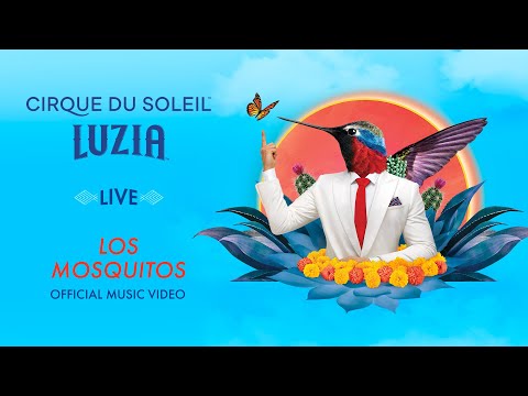 Los Mosquitos | LUZIA (Live) Music Video | Cirque du Soleil