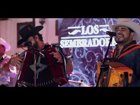 Los Sembradores - Amorcito Norteño ft. Los Varones De Culiacán