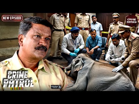 भारत में इतने सारे हाथियों को किसने मारा कैसे पता लगाएगी पुलिस | Best Of Crime Patrol | Latest EP