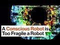 Understanding AI Consciousness and Functionality