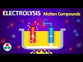 Electrolysis and Ionic Reactions