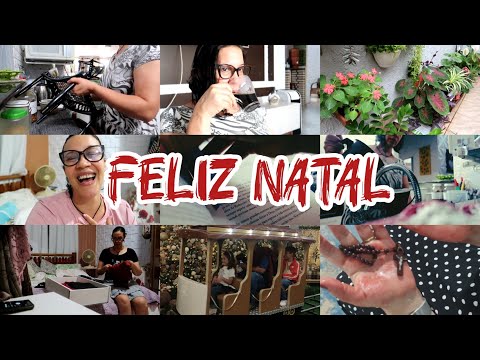 OLÁ AMORES 🌹PASSANDO PRA DESEJAR UM FELIZ E LINDO NATAL 🌷 LOGO ESTAREI DE VOLTA 💕