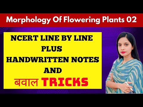 Morphology of flowering plants - NCERT LINE BY LINE + HANDWRITTEN NOTES AND बवाल TRICKS