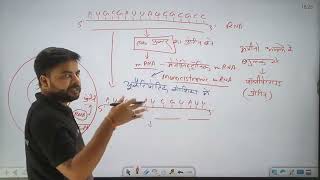 Monocistroni and Polycistron mRNA | types of mRNA | Eukaryotic and prokaryotic mRNA | Biology NEET