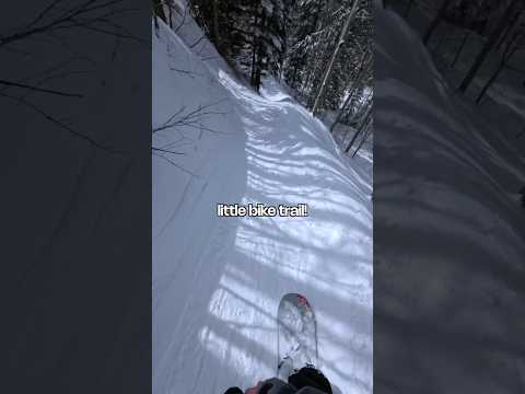 Snowboarding a mountain bike trail? #snowboarding