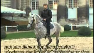 El caballo crucificado y resurecto I
