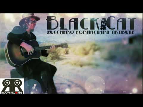 Black Cat Tribute Zucchero