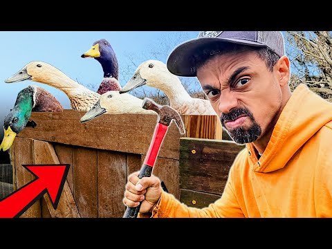 🛑 STOP! Will THIS Keep My Ducks In? | DIY Breeding Area Gate Build | Vlog