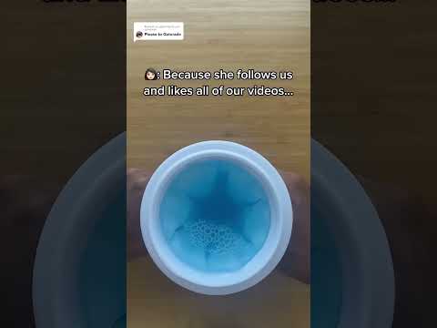 This Cup Turns Any Drink Into A Slushy!!! Links In The Comments