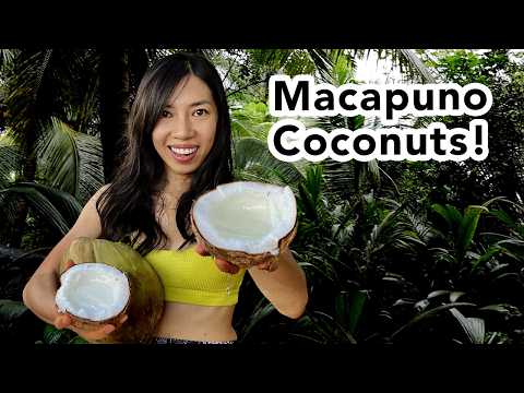 Coconut Craze: My Exciting Quest for Bizarre Finds in Vietnam!🌴