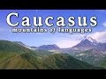Kurdish Language and Caucasian Linguistics