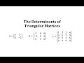 Matrix Types and Determinants
