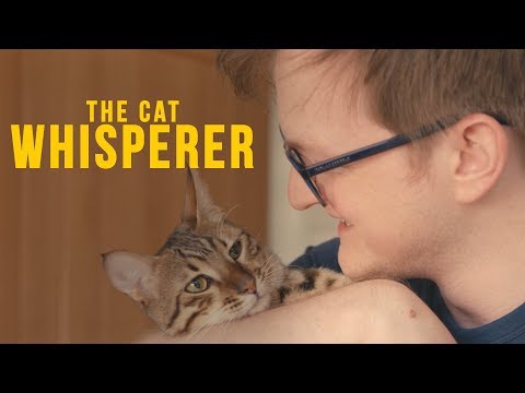 Grian: The Cat Whisperer