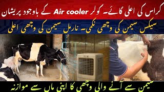 Sex semen ki fazool wachi? II Semen ki wachi ka mother say comparison II Abdominal depth explained
