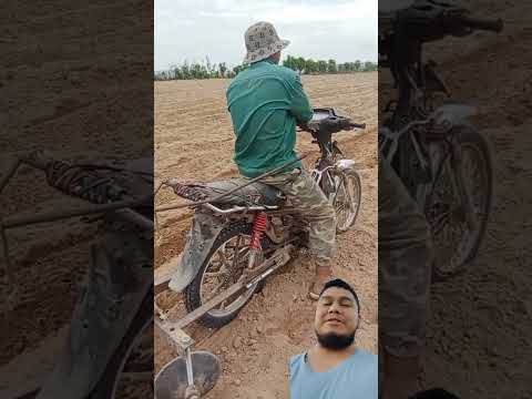 La raza es Ocurrente 🧐🤣🚜☘️ #trabajodecampo #tractor #agriculture #rancho #farmequipment