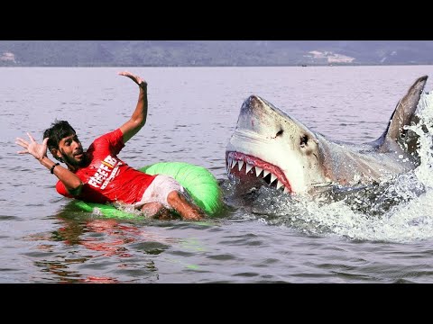 Shark Attack man in Deep Water 🦈 Fisherman Records Another Shark Attack