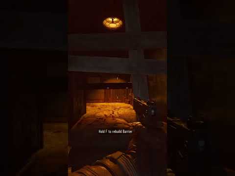 RAREST EASTER EGG IN CALL OF DUTY ZOMBIES HISTORY!!!