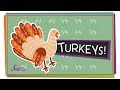 Understanding Turkeys