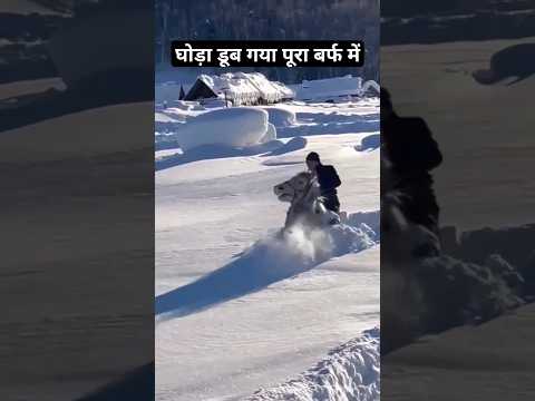 Pura Ghoda Barf M Dubh Gya || Bahut Khatarnaak || Ye Kya Ghode Ko Ase Le Ja Raha H || Pahadi Hills