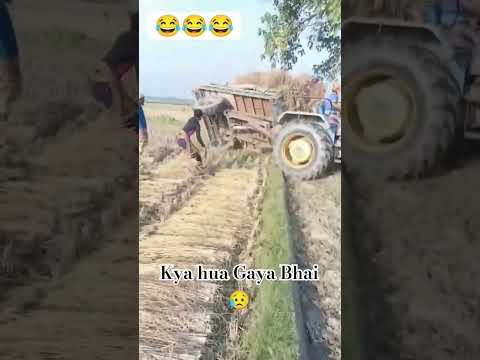ke trailer palti #trailer