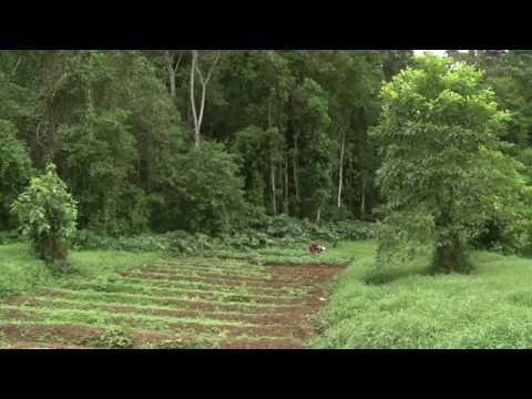 YouTube video thumbnail: São Tomé - Before It's Gone
