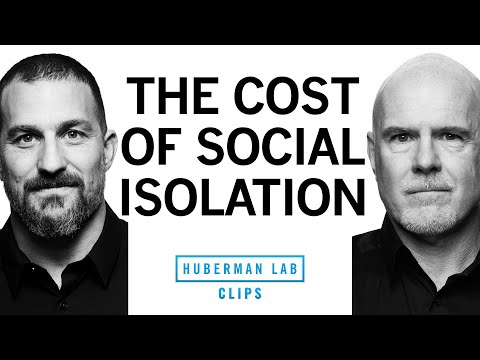 The Dangers of Despair & Social Isolation | Dr. Michael Platt & Dr. Andrew Huberman