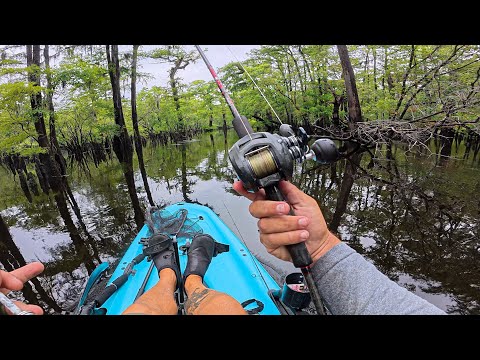 Where Tide Ends The Battle Begins...Cypress Grouper