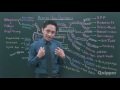 Understanding Economic Needs and Resources
