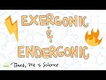Exergonic and Endergonic Reactions