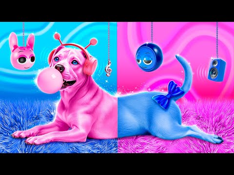 Wir haben einen Hund gerettet! Wir bauen ein geheimes Zimmer für Haustiere! Blau vs Rosa