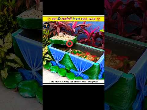 फल की टोकरियों से बना Fish Tank !!😍😲 #shorts #experiment